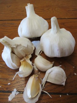 garlic Denis