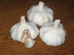 garlic Shilla Garlic