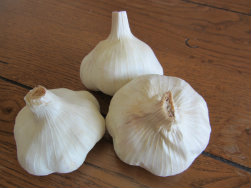garlic Siciliano