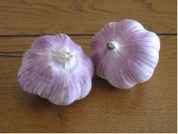 garlic Sonoran Garlic
