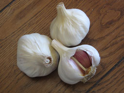 garlic Spanish Benitee