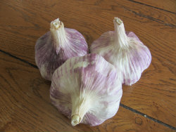 Thai Fire Garlic